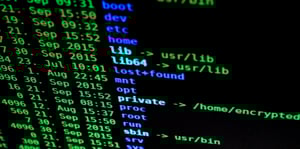 blog header screen showing codes - covid and data security