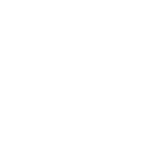 Lambda Learning White Logo